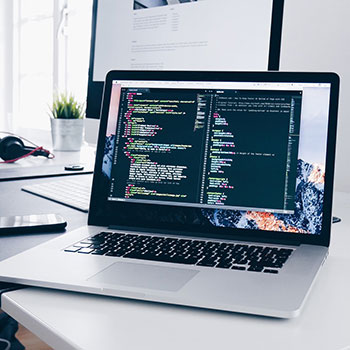 投畀豺虎是指什么生肖，优选成语释义解释